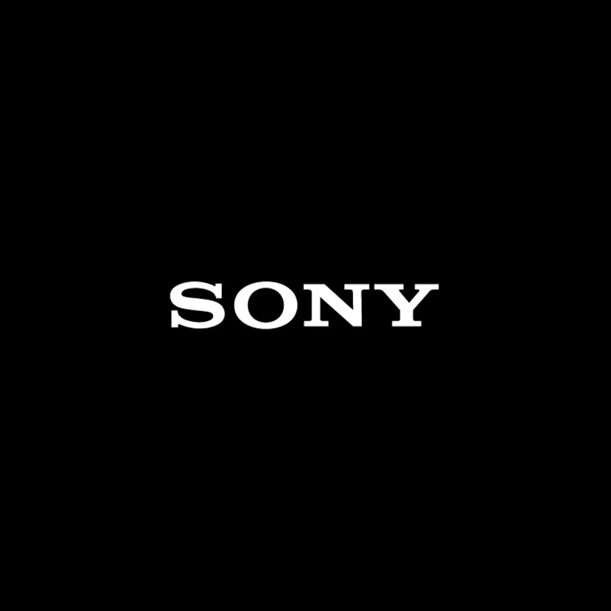 Sony Net Worth, Earnings and Revenue Wealthypipo