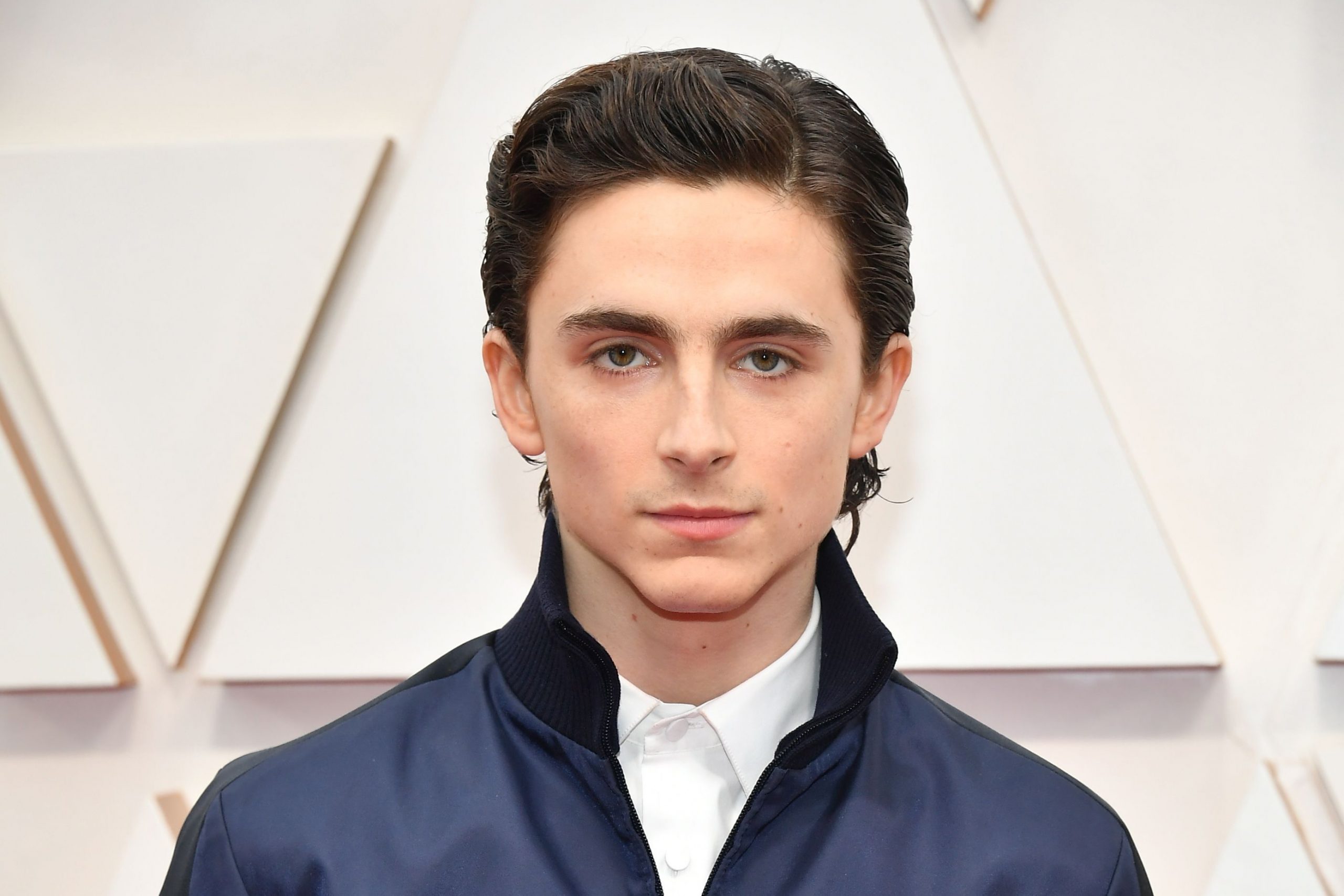 Timothée Chalamet Net Worth, Salary and Earnings Wealthypipo
